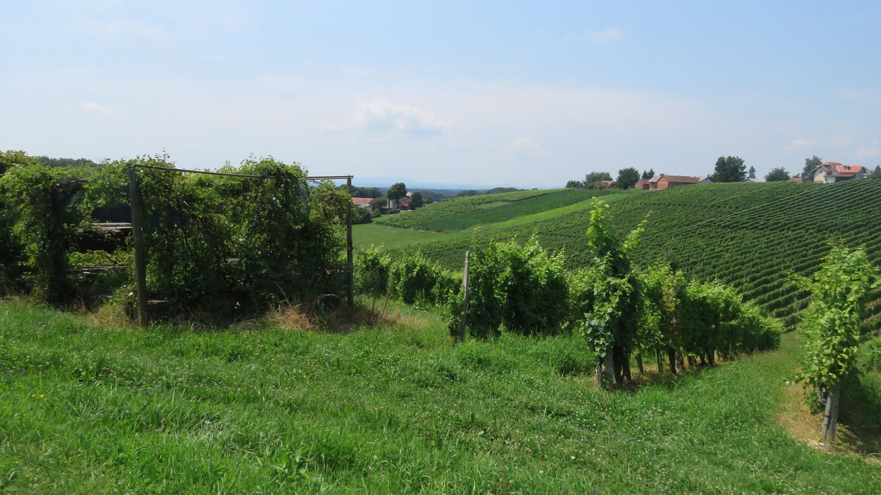 Photo of Outdoor in Razkrizje