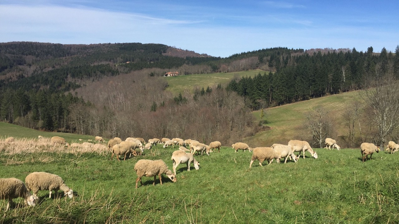 Photo of Outdoor in Camarade