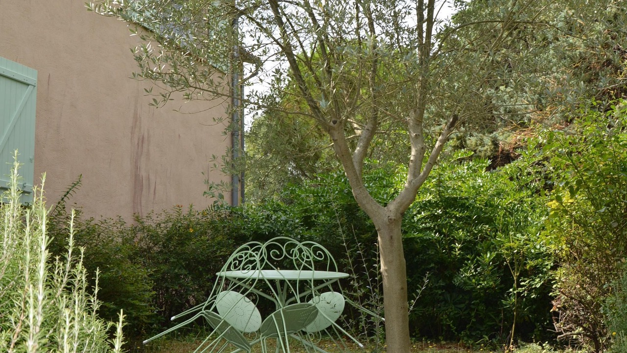 Photo of Outdoor in Laurac