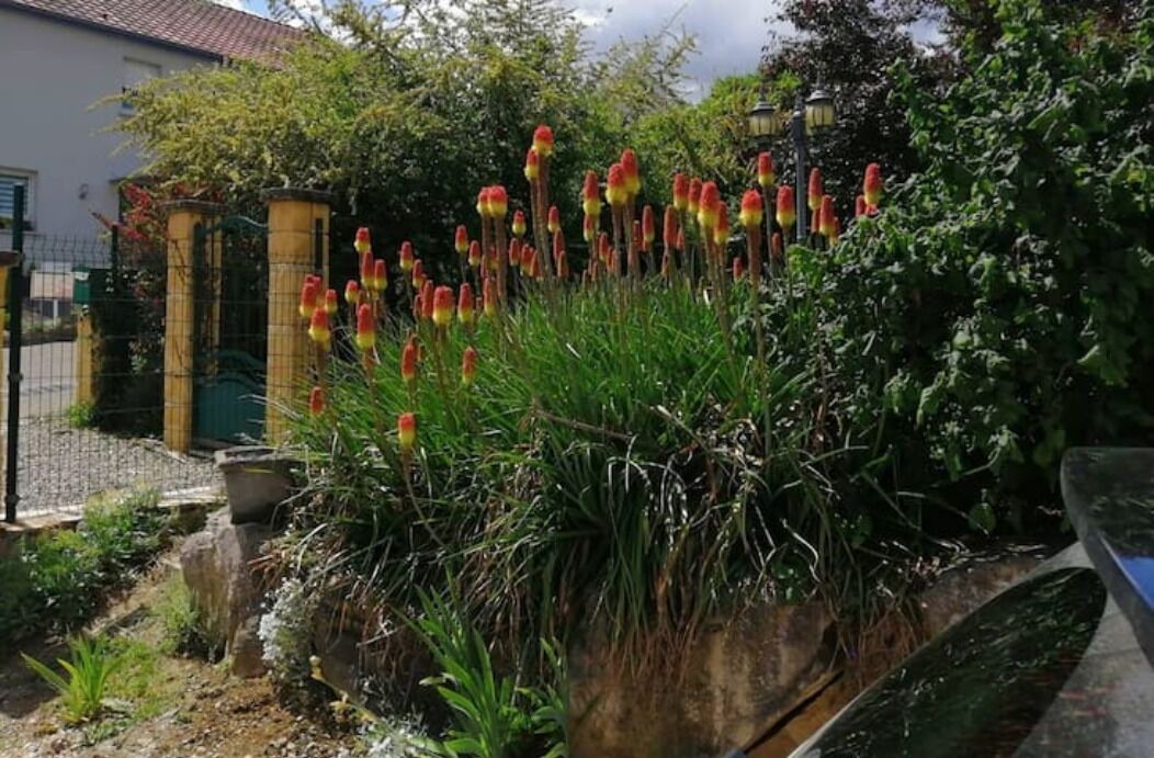 Photo of Outdoor in Illfurth
