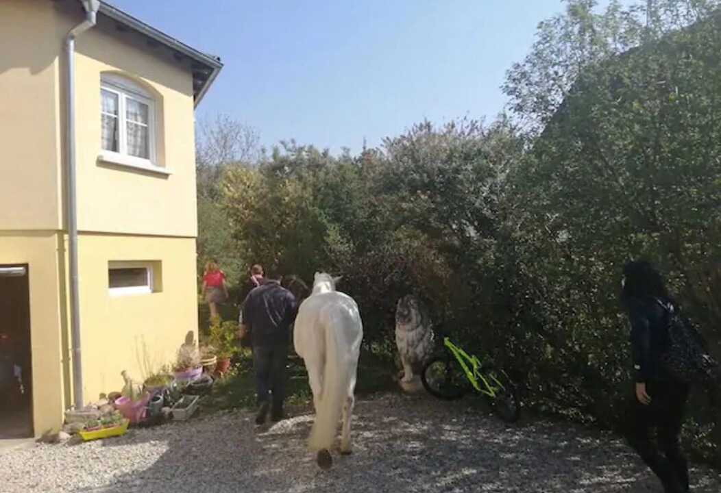 Photo of Outdoor in Illfurth