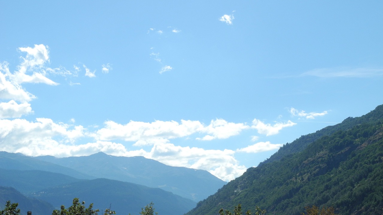 Photo of Others in Brig