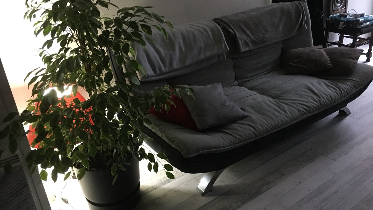 Photo of Livingroom in Arzon