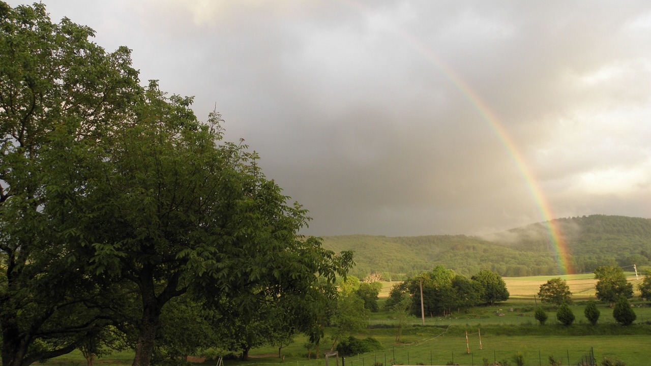 Photo of Outdoor in Camarade