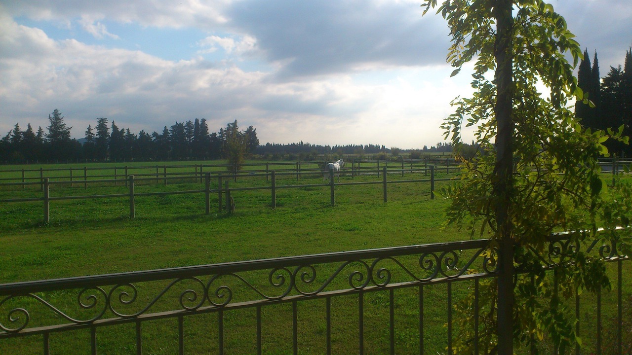 Photo of Others in Tarascon