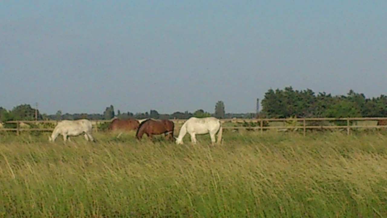 Photo of Outdoor in Tarascon