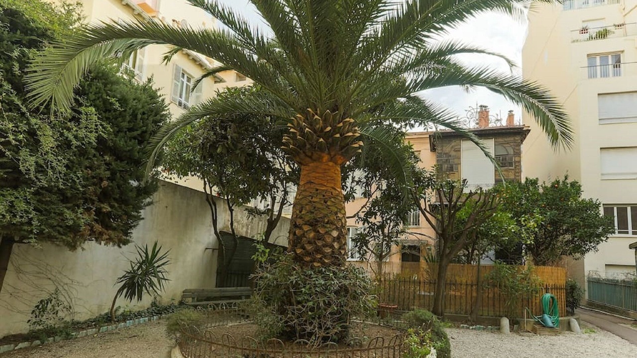 Photo of Outdoor in Liberation