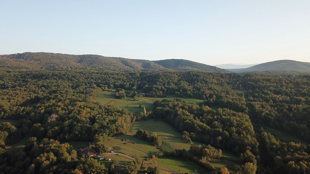 Photo of Outdoor in Camarade