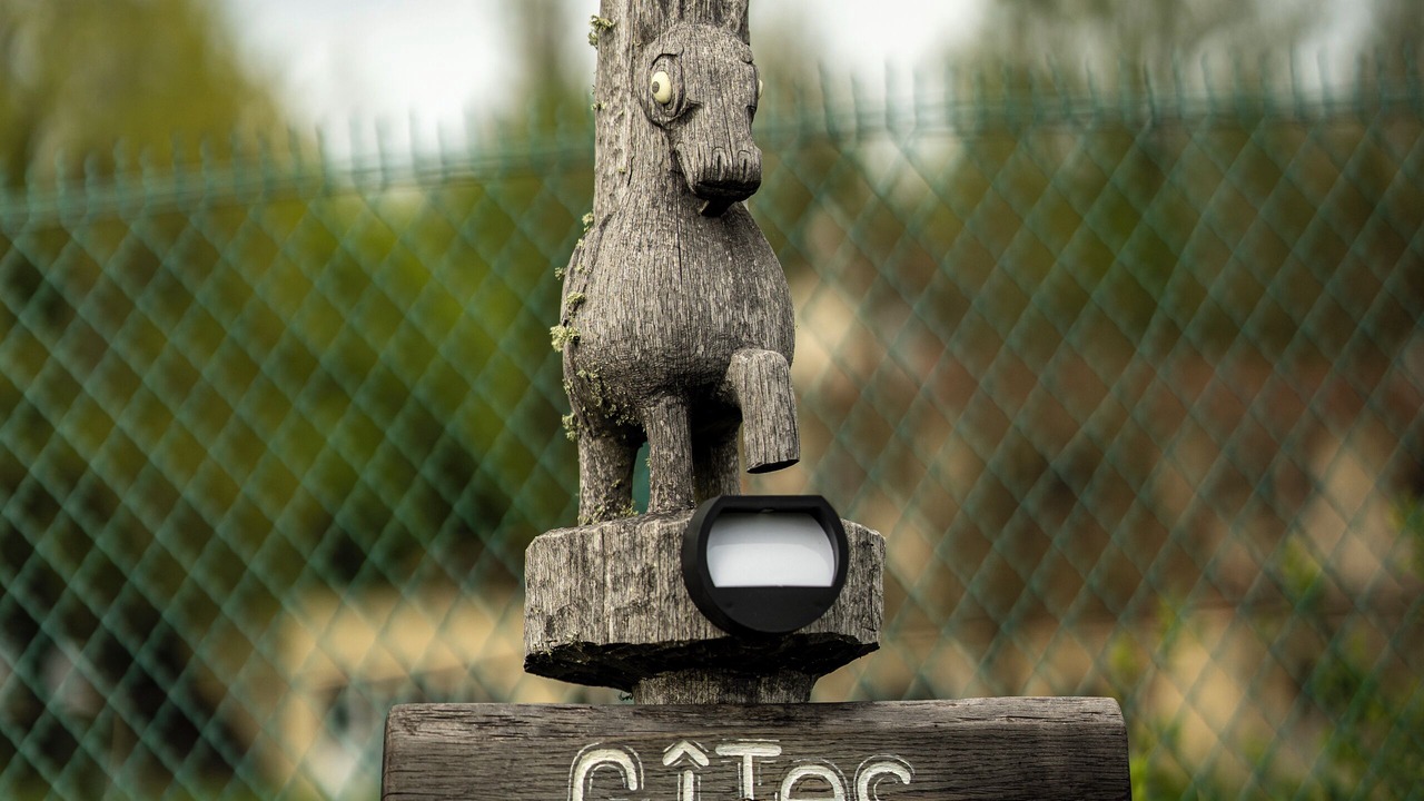 Photo of Outdoor in Camarade