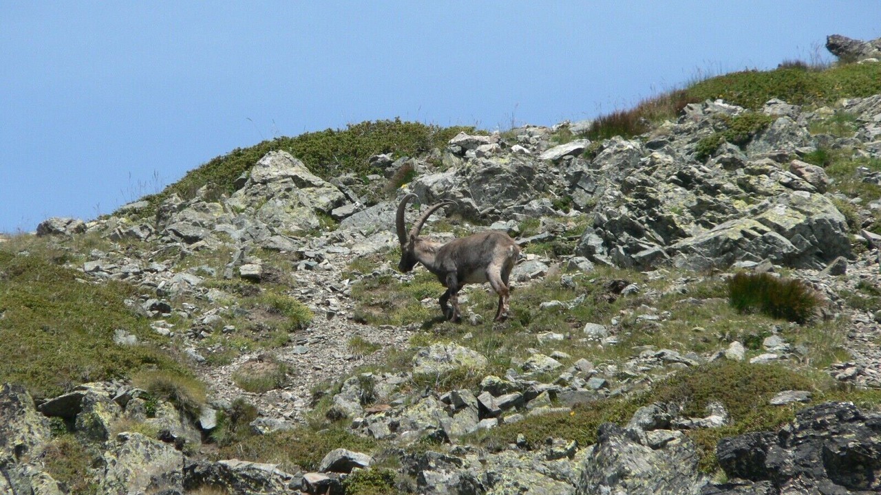 Photo of Outdoor in Chamrousse