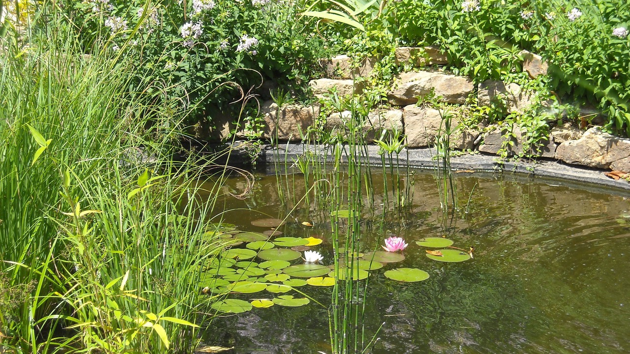 Photo of Outdoor in Bordezac