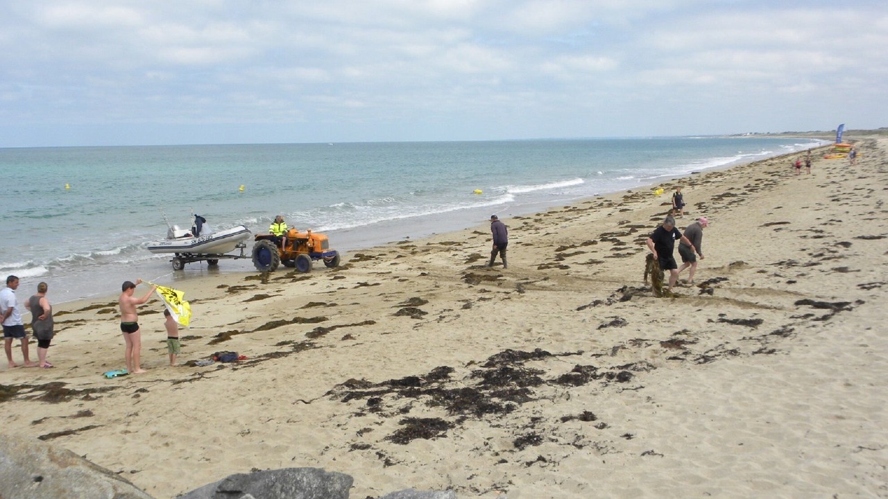 Photo of Others in Donville-les-Bains