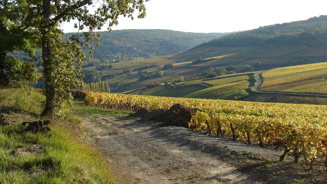 Photo of Others in Saint-Romain