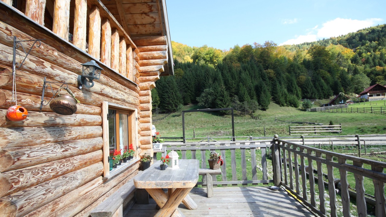 Photo of Outdoor in Zarnesti