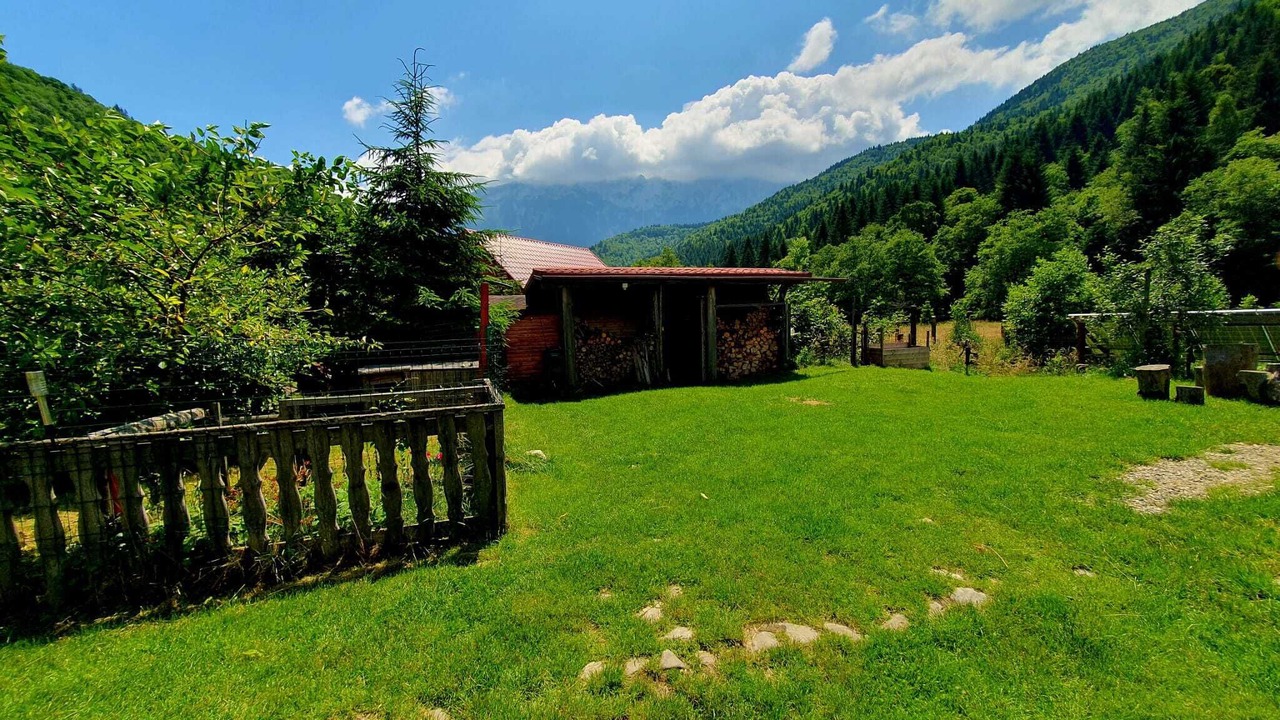 Photo of Outdoor in Zarnesti