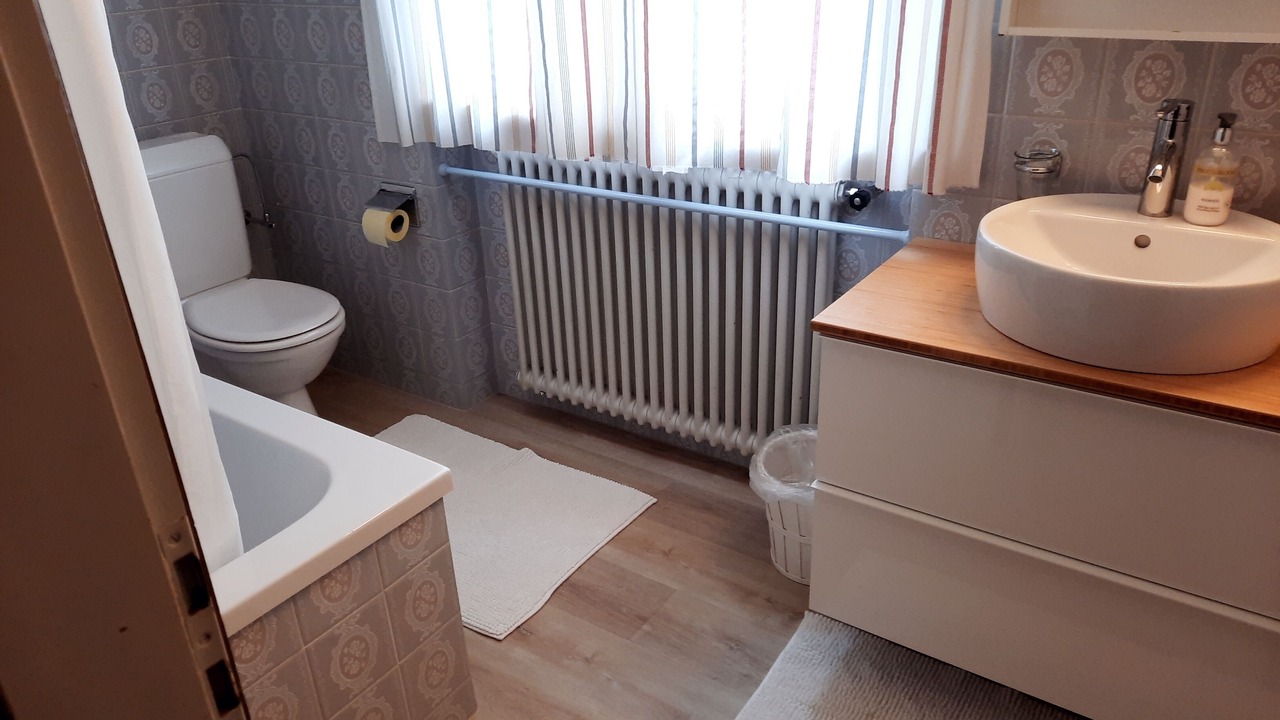 Photo of Bathroom in Aurigeno