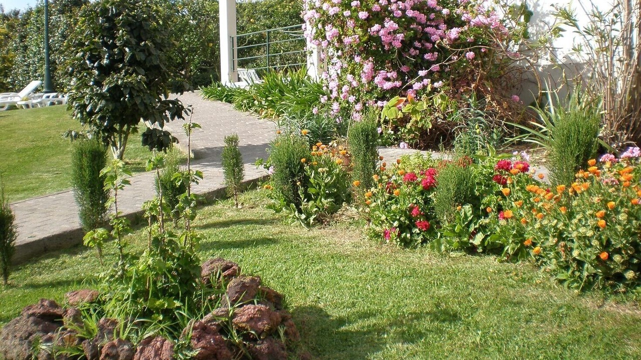 Photo of Outdoor in Ponta Delgada