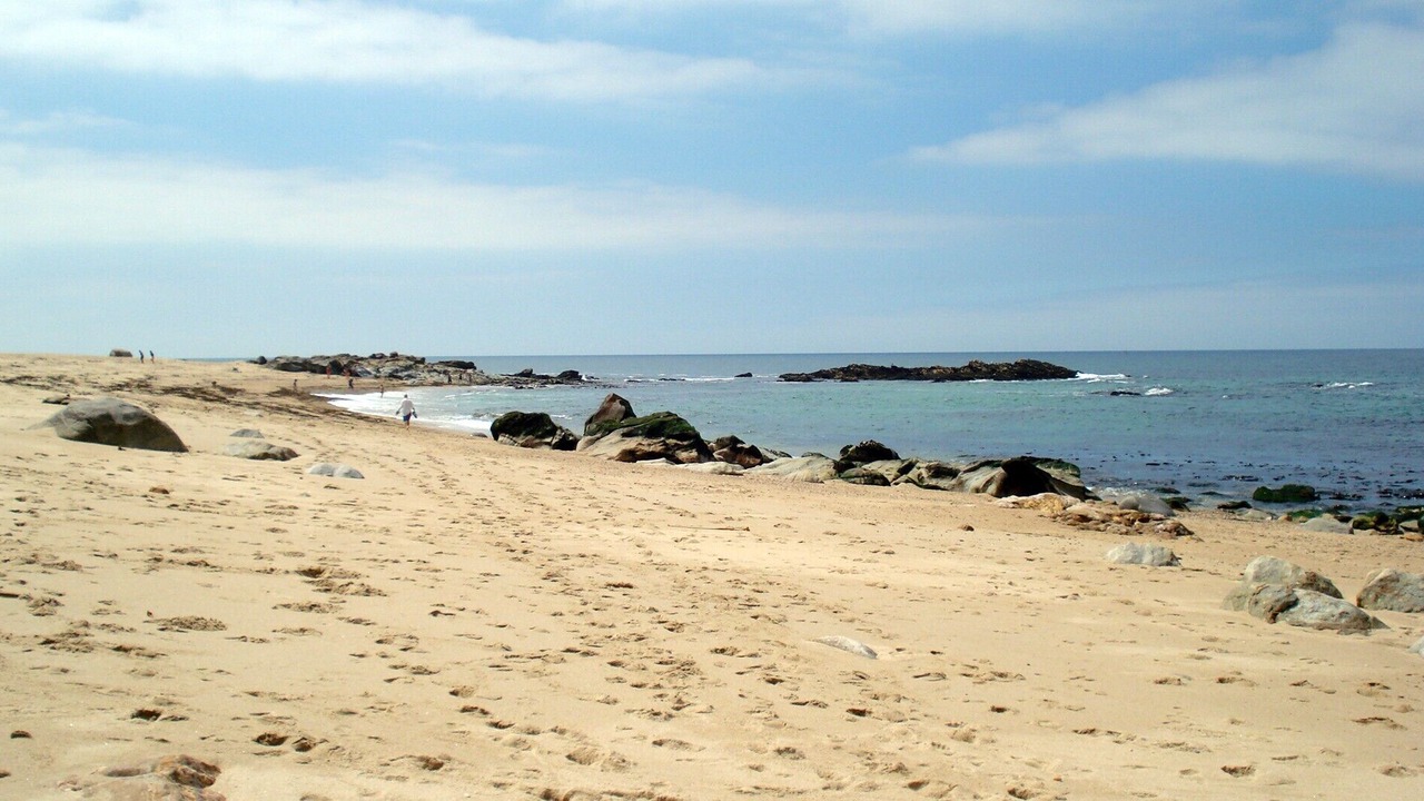 Photo of Others in Canidelo