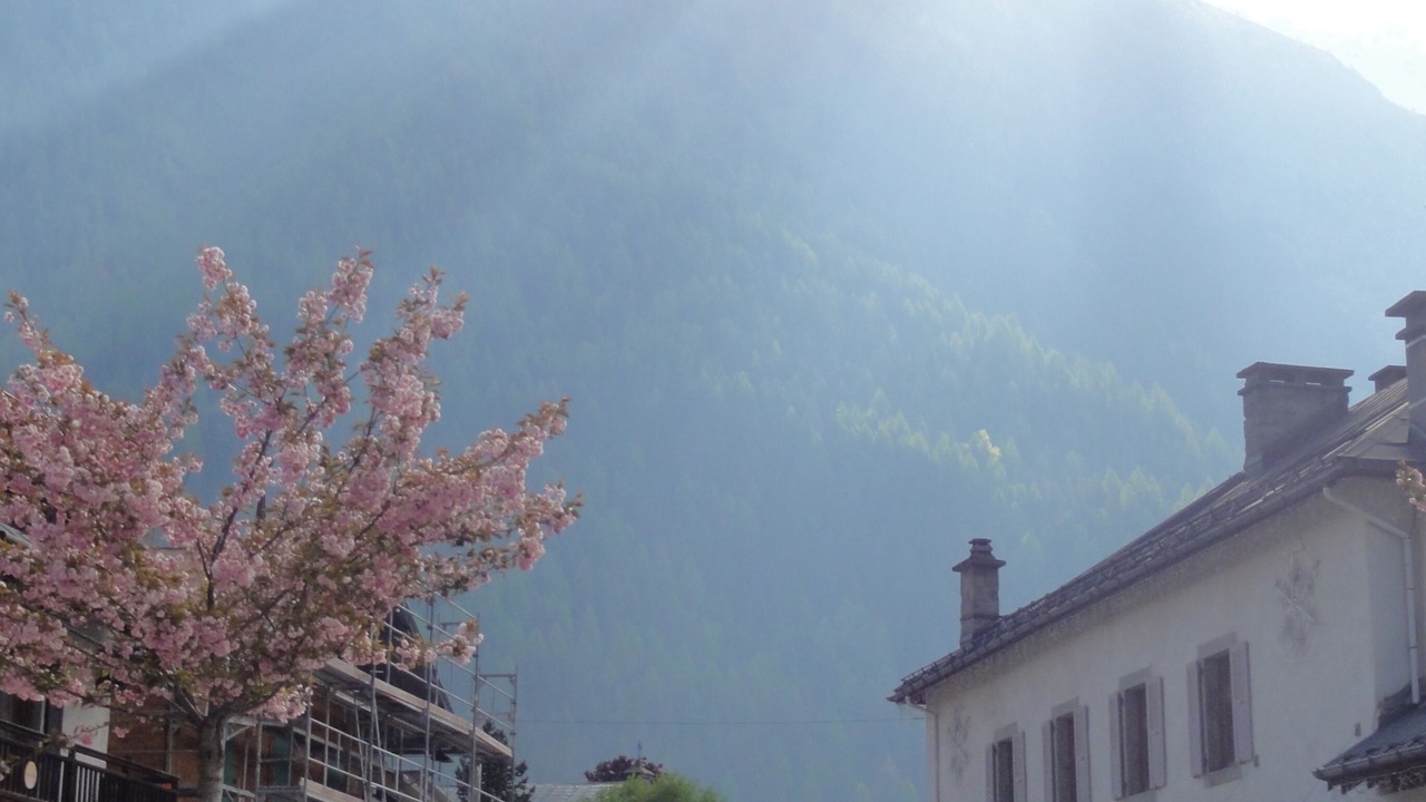 Photo of Others in Argentiere