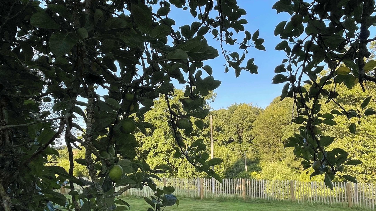 Photo of Outdoor in Le Parc