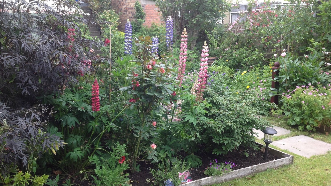 Photo of Outdoor in Crieff
