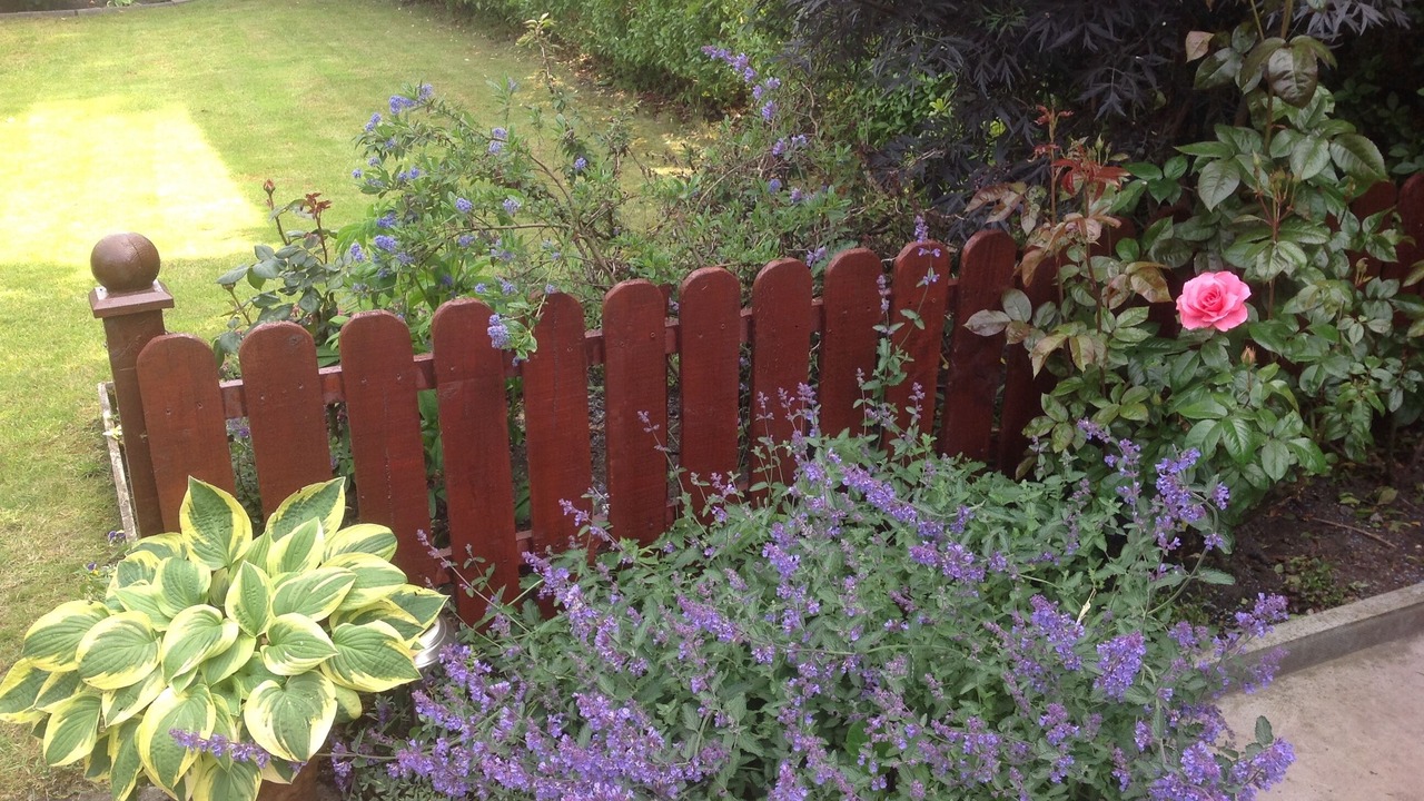 Photo of Outdoor in Crieff