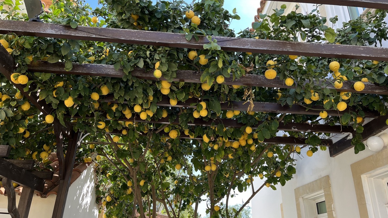 Photo of Others in Protaras