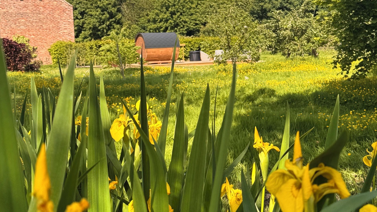 Photo of Outdoor in Sutton on the Forest
