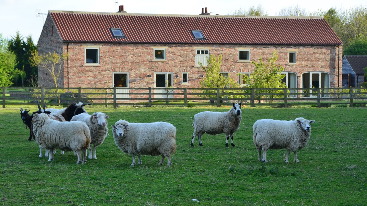 Photo of Others in Sutton on the Forest