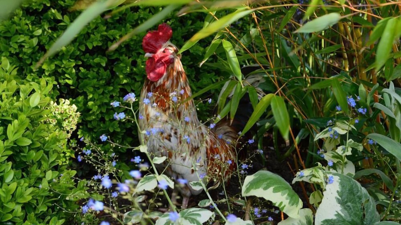 Photo of Outdoor in Audouville-la-Hubert