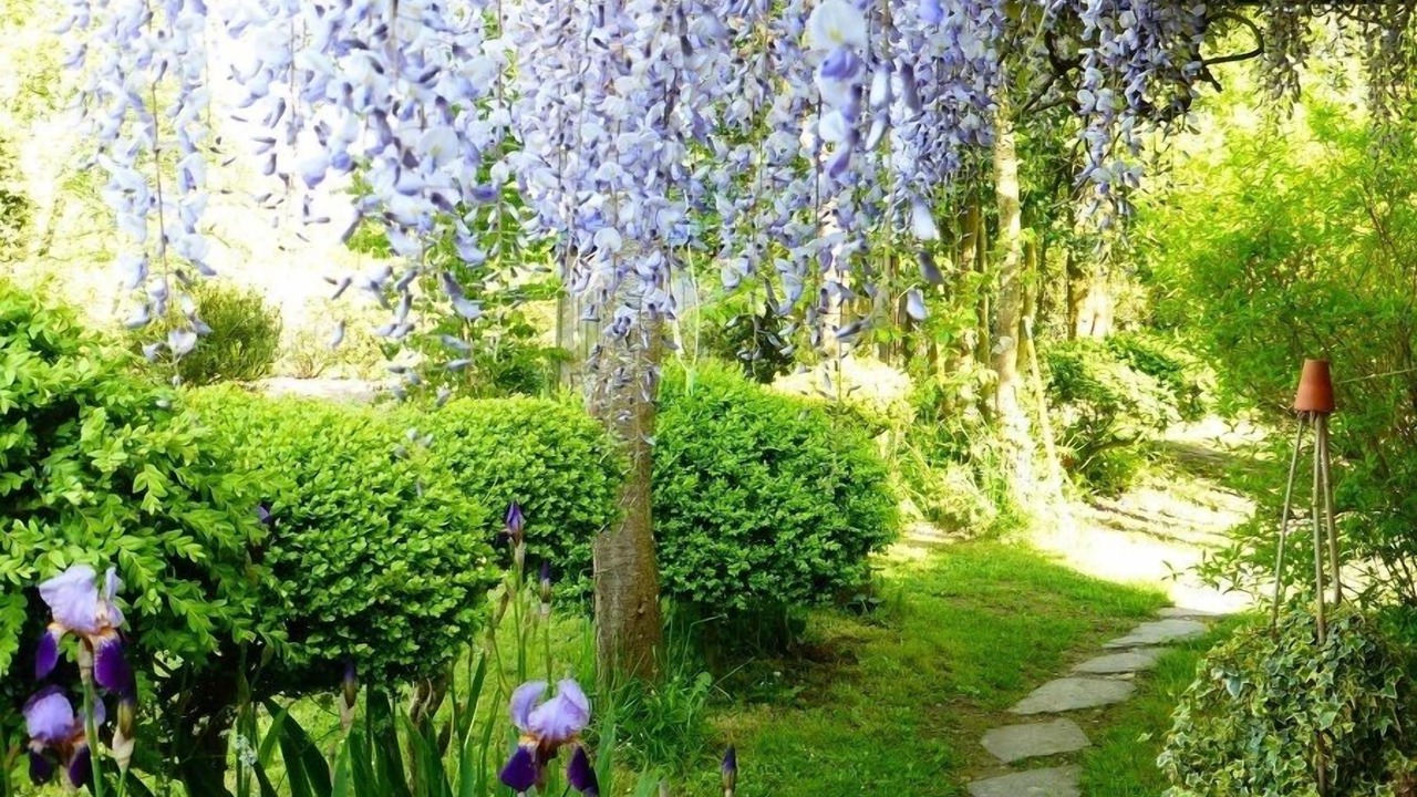 Photo of Outdoor in Audouville-la-Hubert