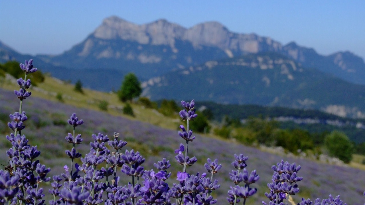 Photo of Outdoor in Montboucher-sur-Jabron