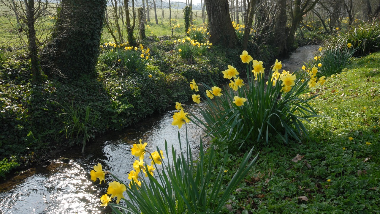 Photo of Others in Godshill