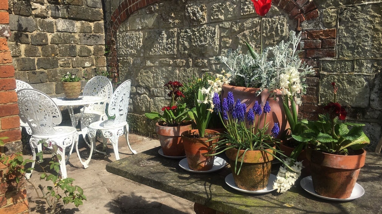 Photo of Others in Godshill