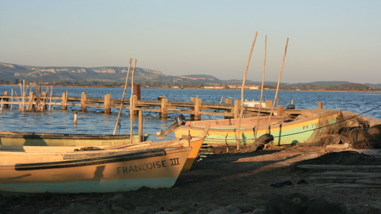 Photo of Others in Bages