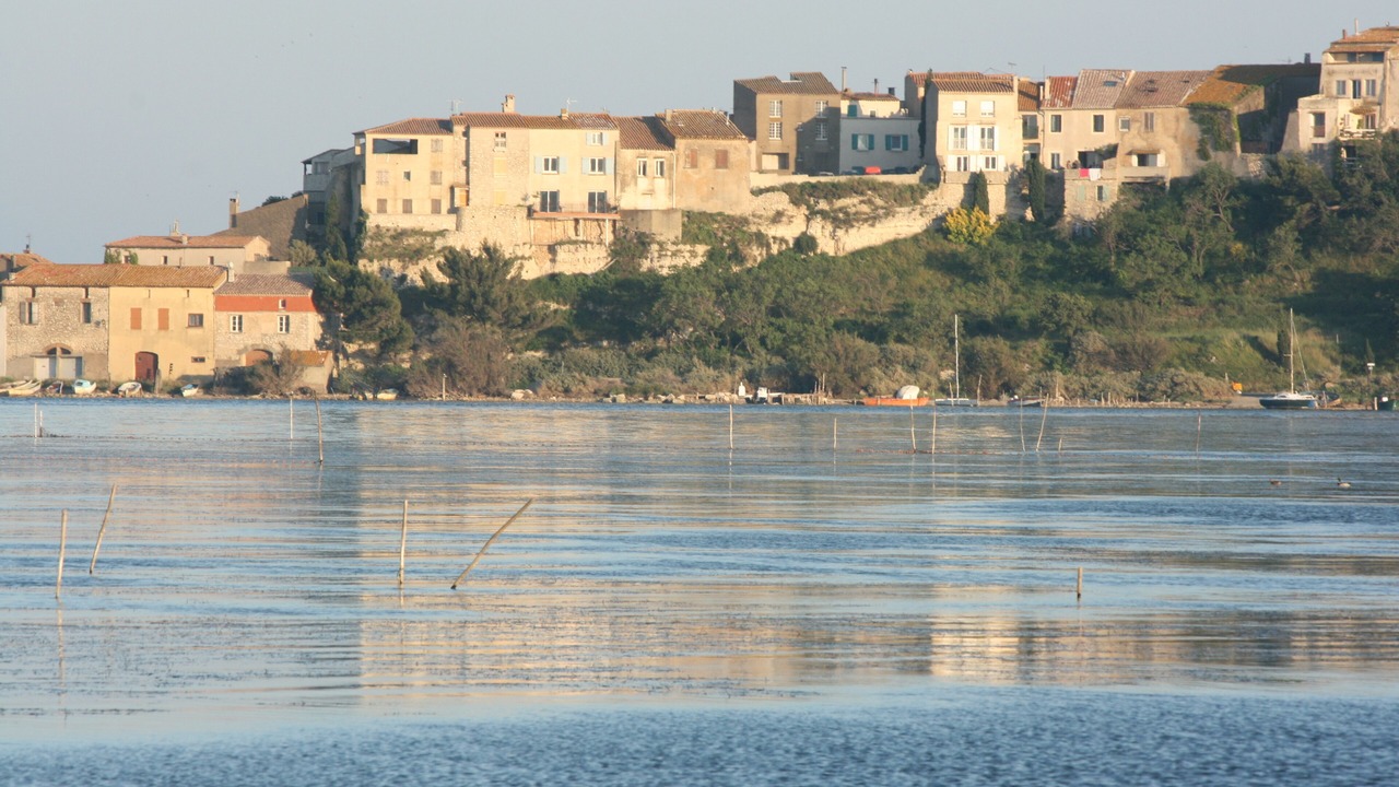 Photo of Outdoor in Bages