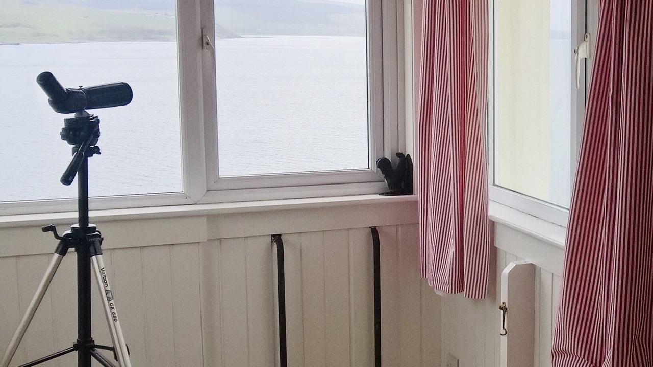 Photo of Others in Campbeltown
