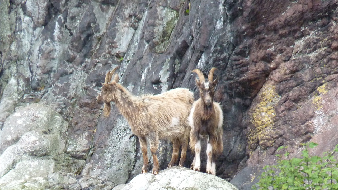 Photo of Others in Campbeltown