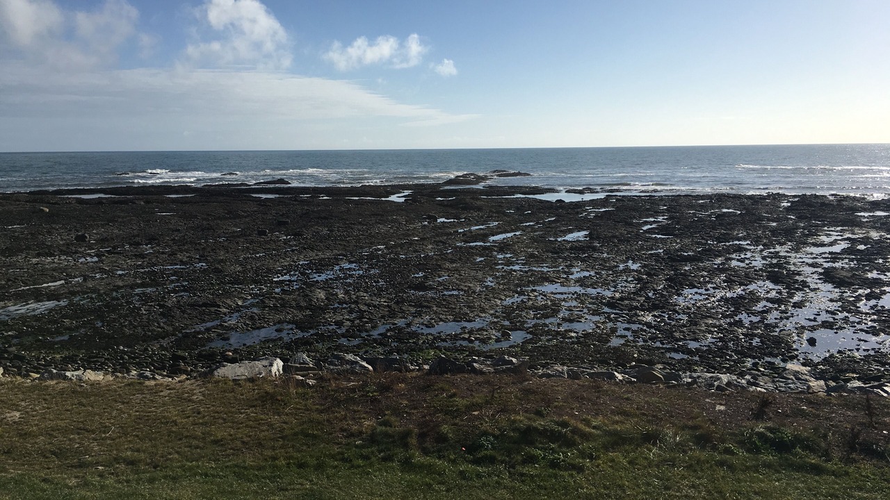Photo of Others in Johnshaven