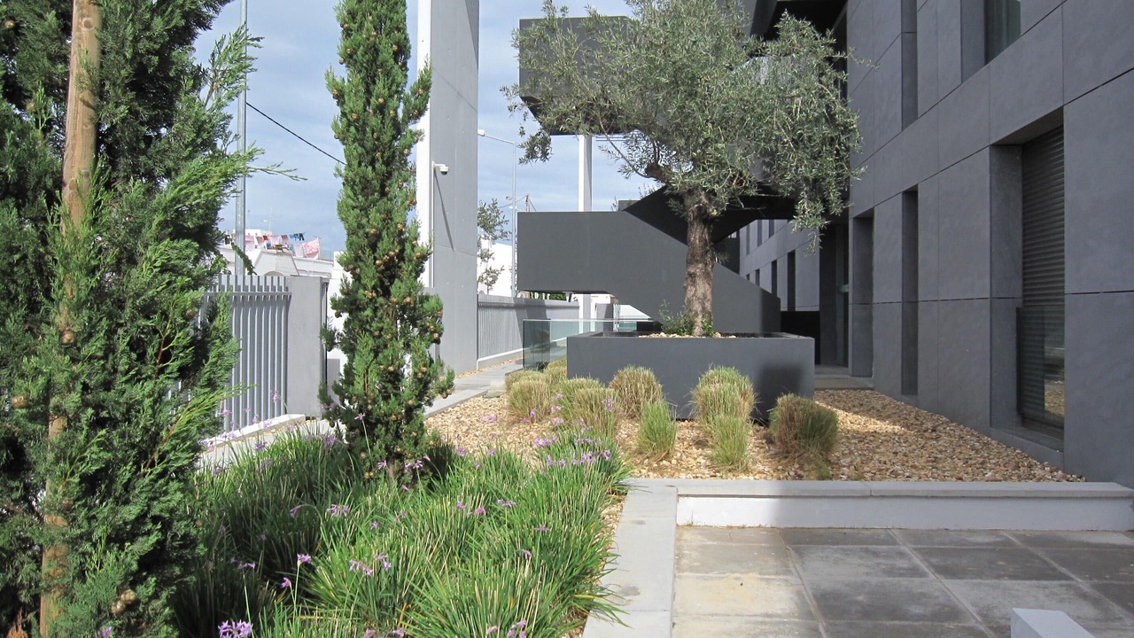 Photo of Outdoor in Fuseta