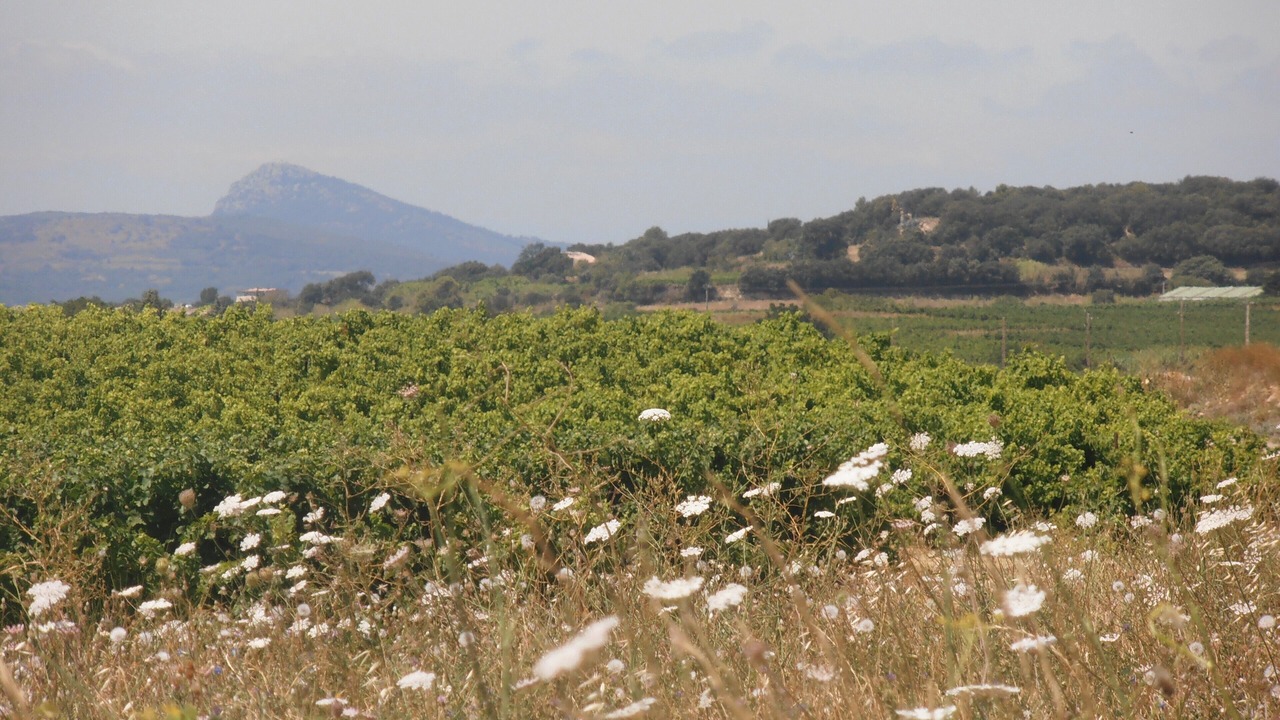 Photo of Others in Le Pouget