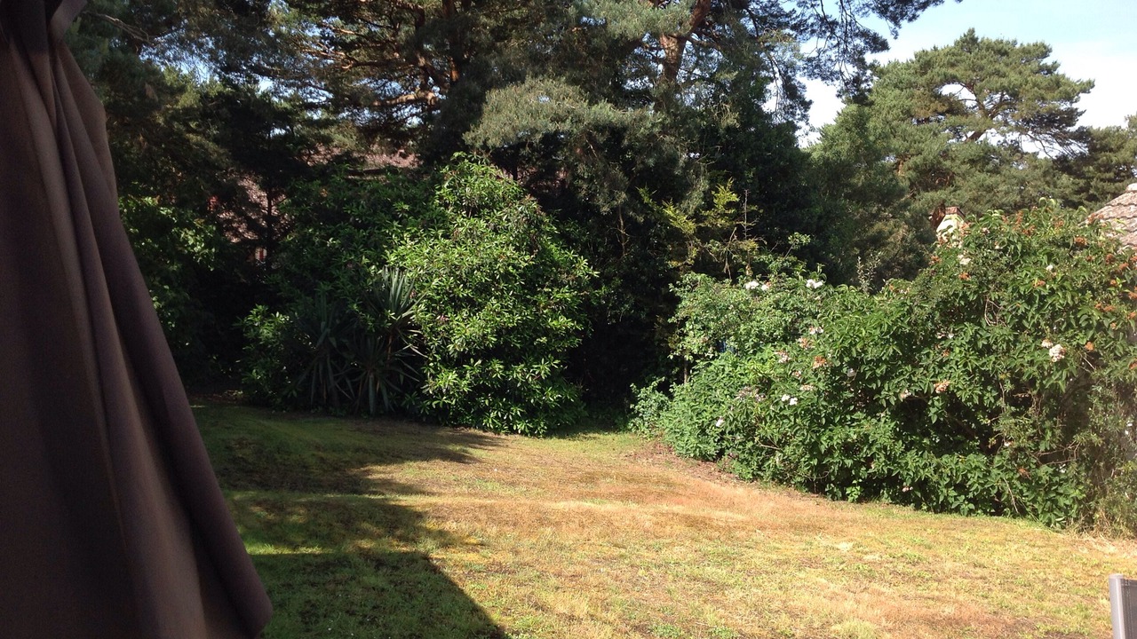 Photo of Outdoor in Sandbanks