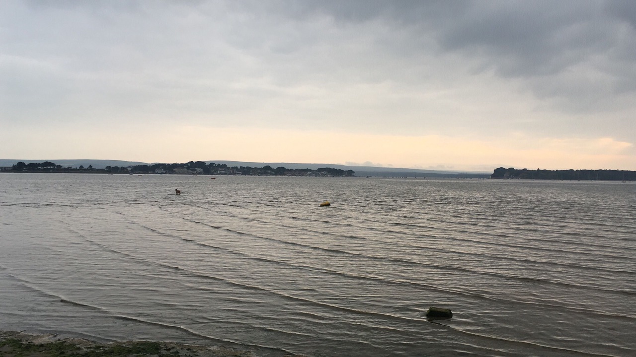 Photo of Others in Sandbanks