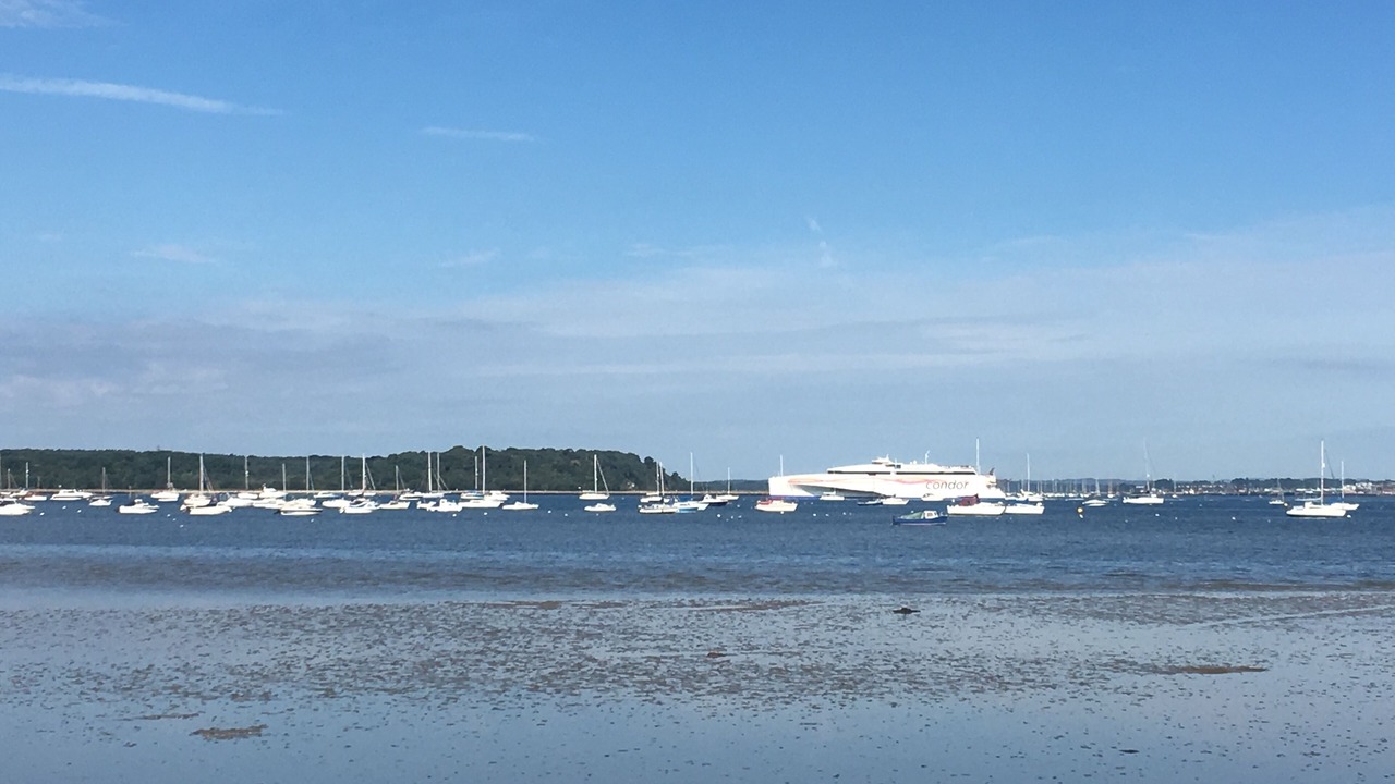 Photo of Others in Sandbanks