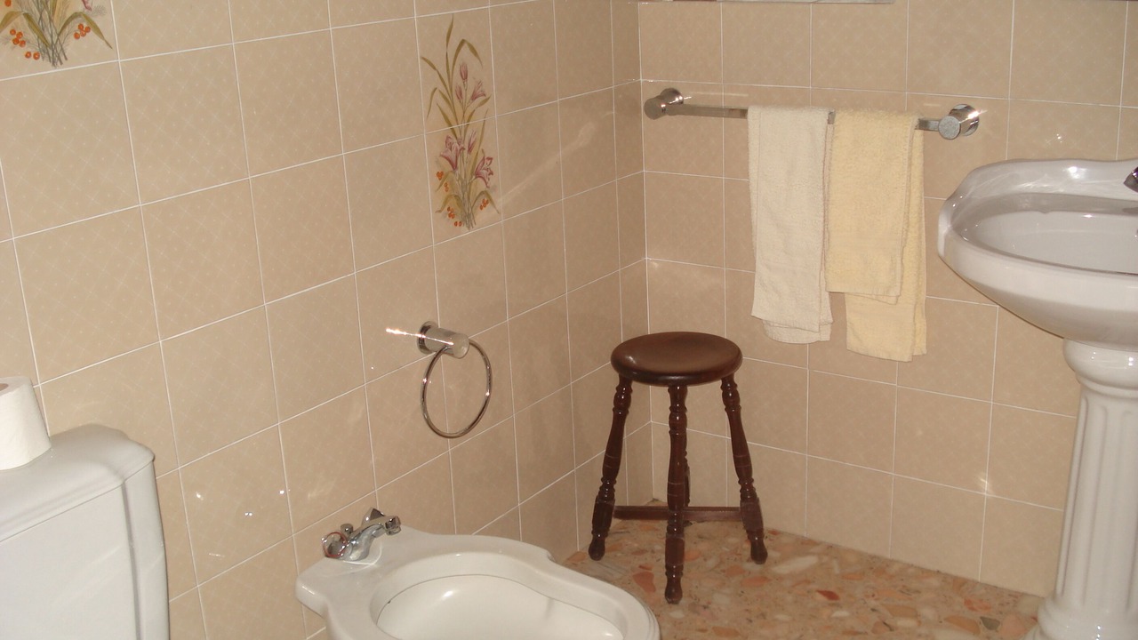 Photo of Bathroom in Sao Roque do Pico