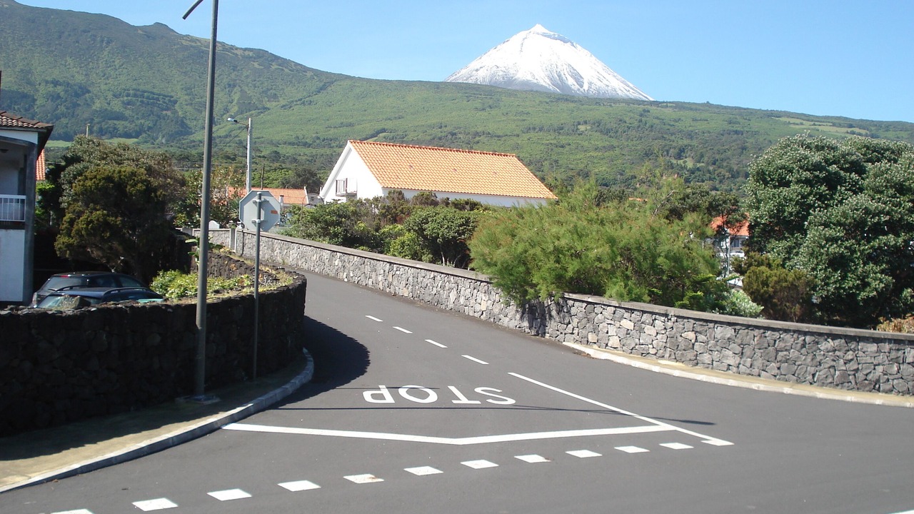 Photo of Others in Sao Roque do Pico