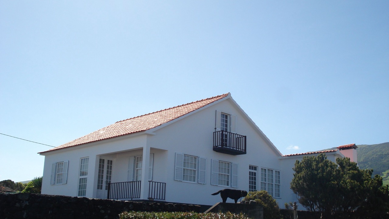 Photo of Outdoor in Sao Roque do Pico