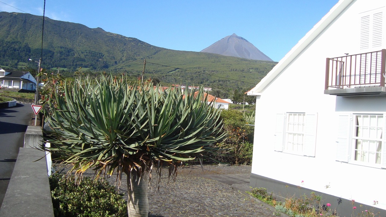 Photo of Outdoor in Sao Roque do Pico