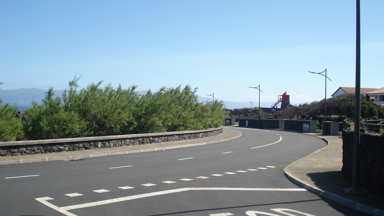 Photo of Others in Sao Roque do Pico