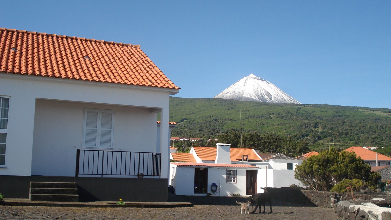 Photo of Outdoor in Sao Roque do Pico
